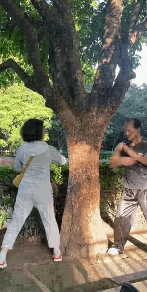 大爷是暴揍树，大妈是调戏树；一个在唱白脸，一个在唱黑脸。看者，忍俊不住，可树又能