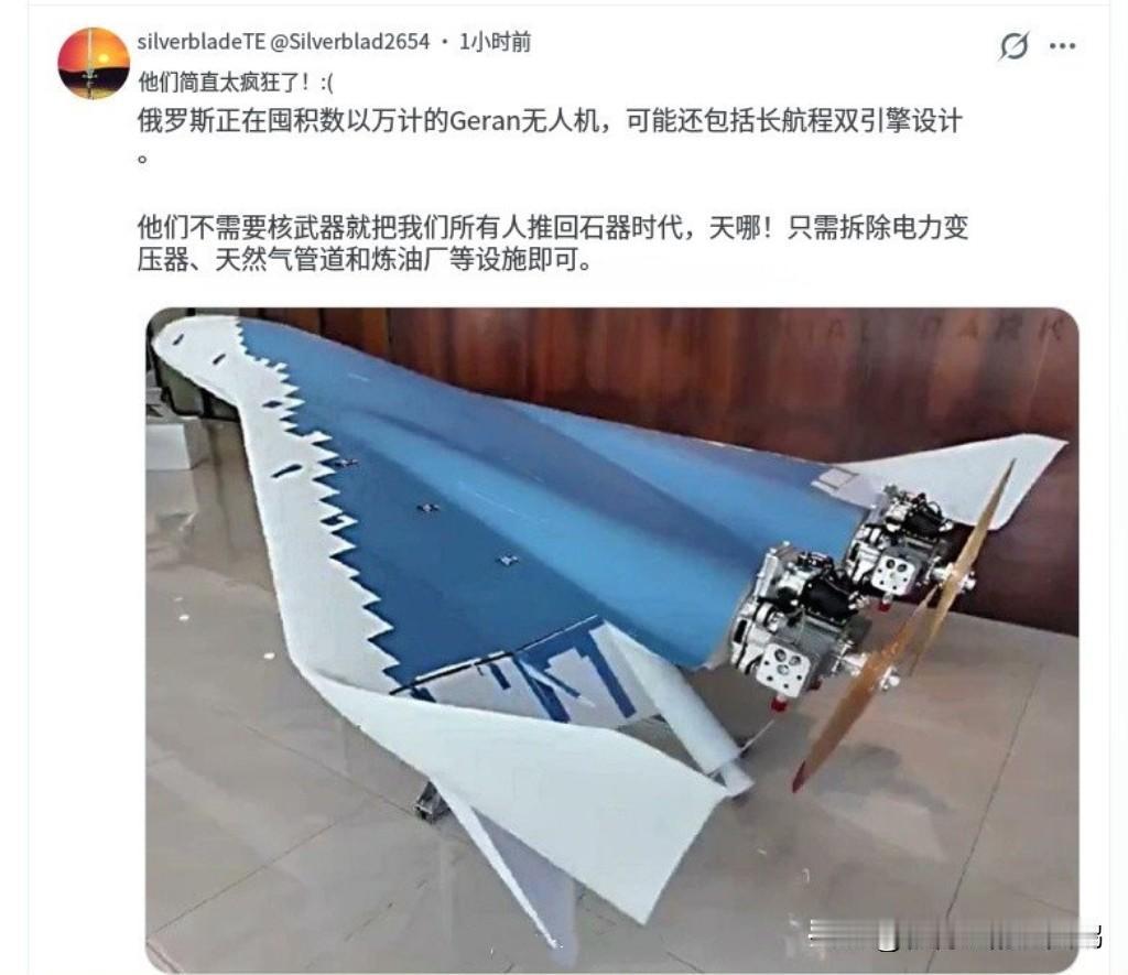 来自欧洲人的恐惧心怀恐惧，于国于民，其结果要比小日子似的不自量力要好得多。