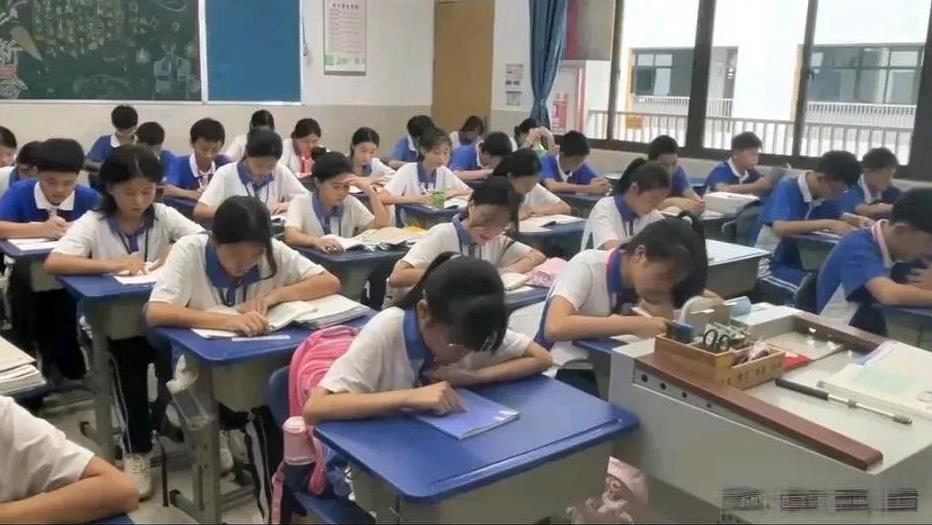 今年在深圳龙华，幼儿园和小、中学的招生真的是冰火两重天呀！厂里有两个宝妈，她们