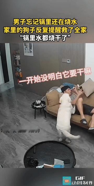 “这狗子太有灵性了！”浙江，夫妻俩都在家休息，中途在厨房烧了水，谁知两人竟然都忘