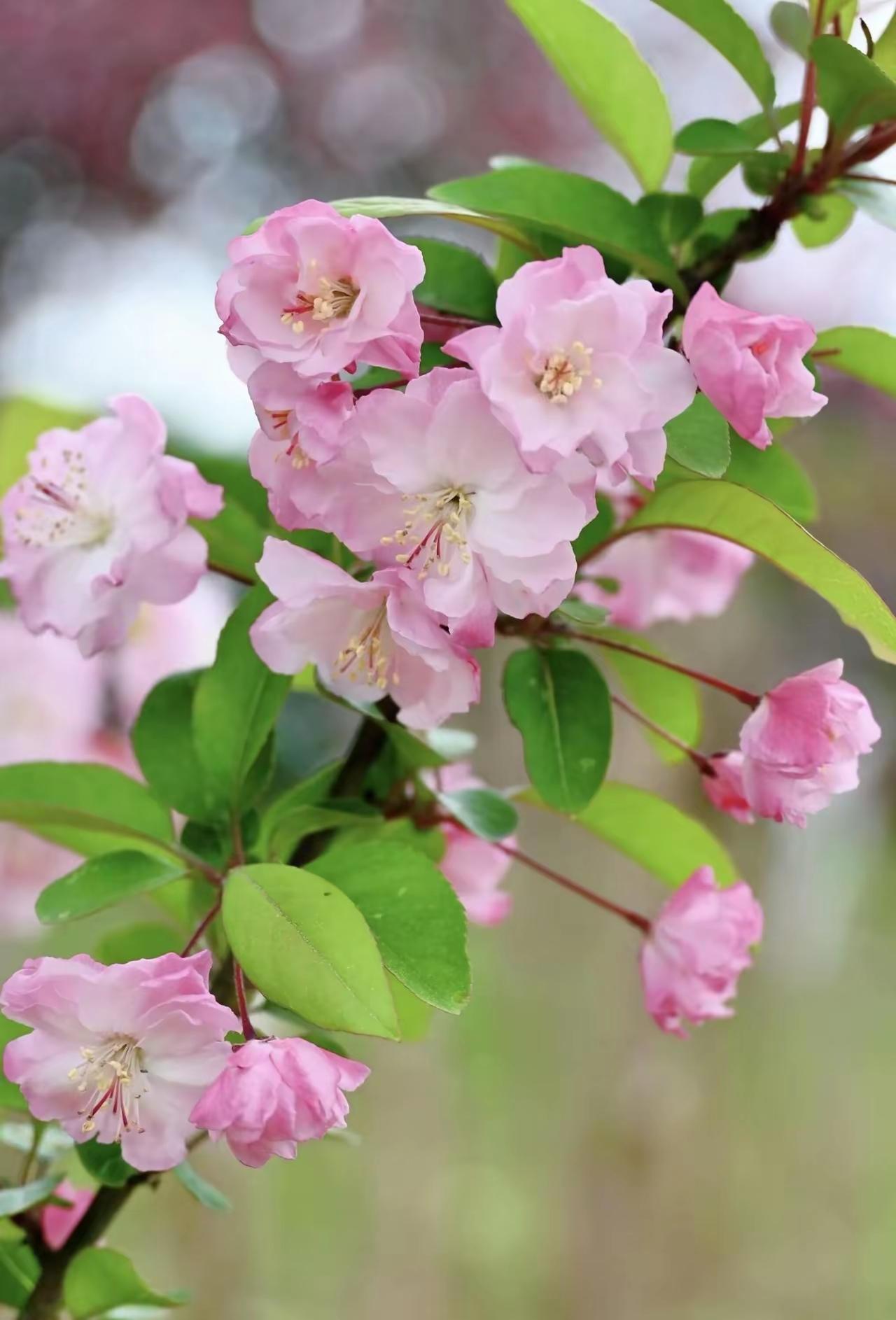 简约生活，轻装前行人这一生，背负的东西实在太多。放不下的得失，忘不掉的过