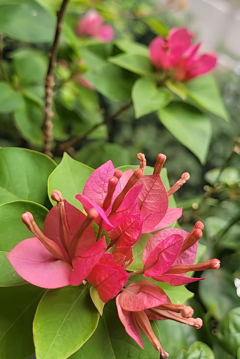 A股：刚刚市场传来消息，不出所料，明天大盘这样走最近几个月，A股一直在3900点