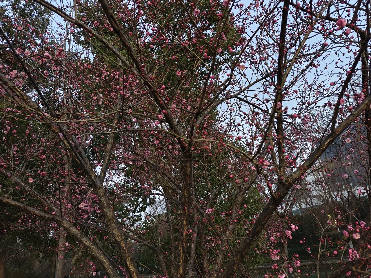 人为什么到了中年精力越来越不够用了呢？而且身体也没有之前结实了呢？应该是孩子还小