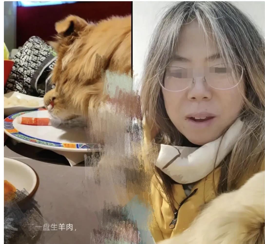 这下出名了纵容狗上桌舔盘子，近日，一则视频引发网友热议：一位女士带着狗到餐