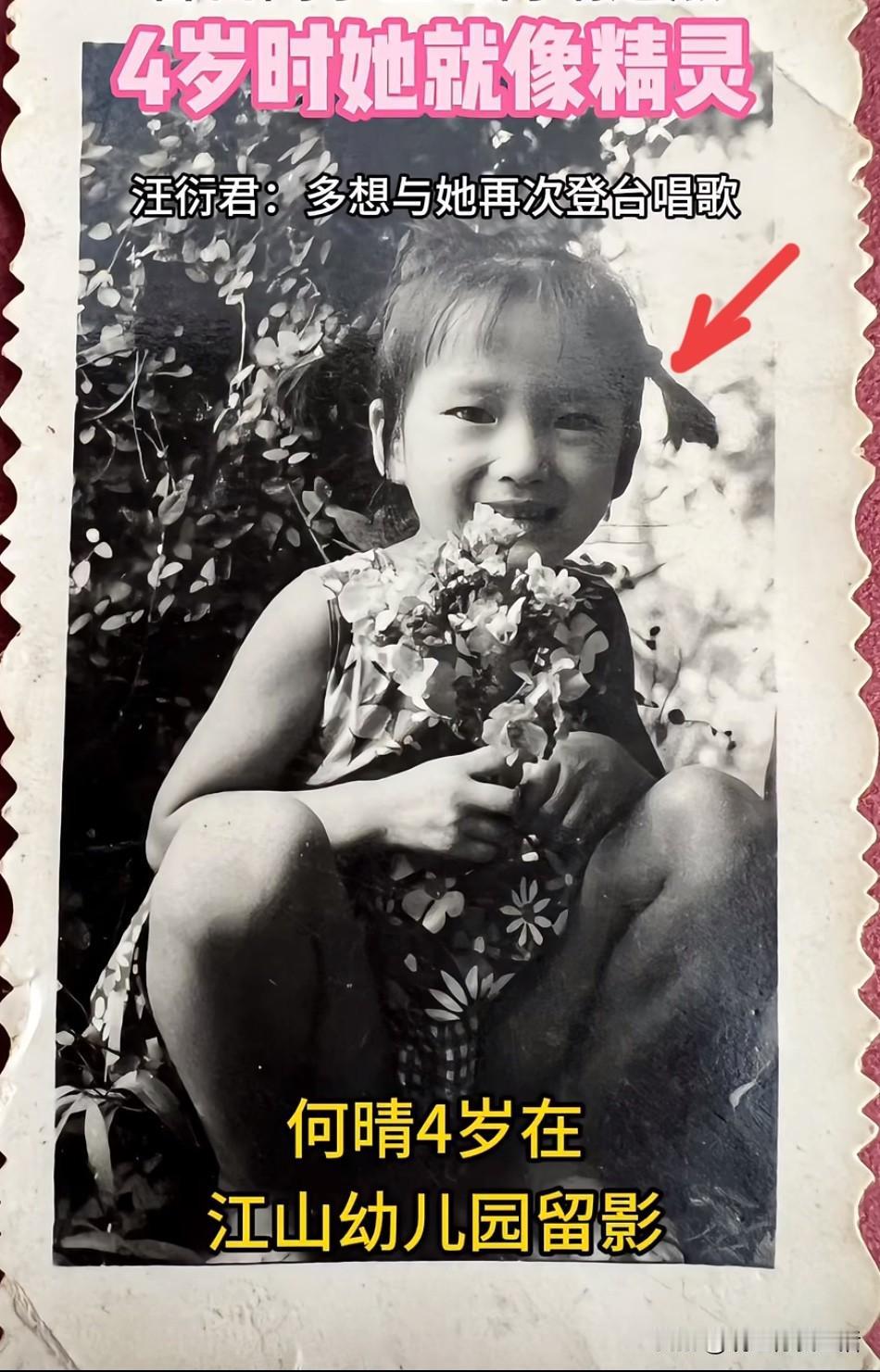 仙女初下凡时的模样：果然美人确实从小就能看得出来！原来4岁的何晴就像个天使，