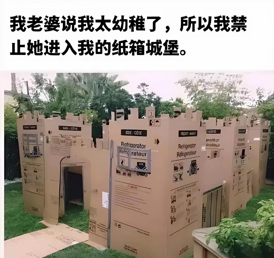 哇塞，这个城堡也太帅了[狗头]