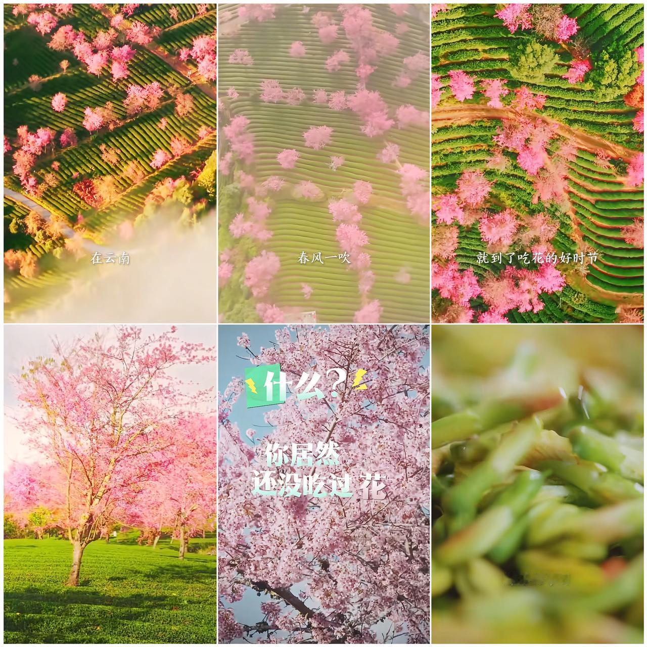 与辉同行阅山河云南行你还想解锁哪些云南风味？