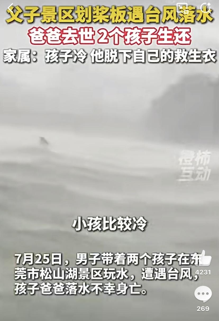 东莞松山湖的一场意外让好好的一场亲子游玩，最终变成无法挽回的人间悲剧。事发当天，