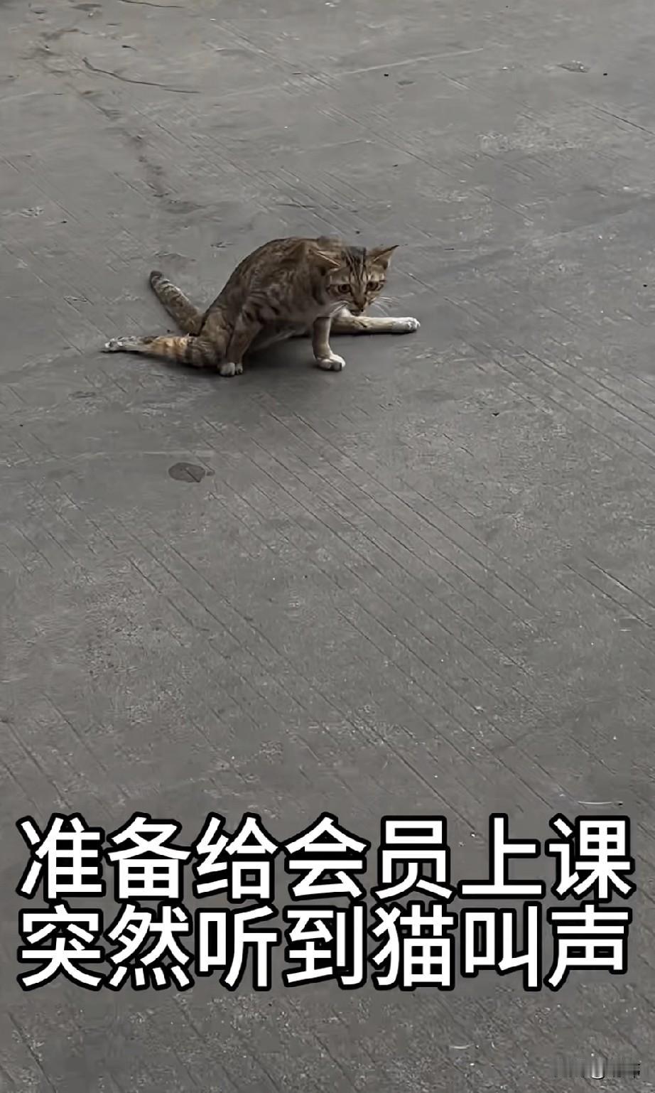 泪目了！这天一位在健身房当教练的小哥哥来到学校，刚准备上楼给会员上课，突然听到有