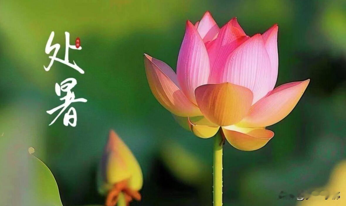 明天8月23日处暑，今年冬天雪大不大？冷不冷？答案来了明天8月23日，我们