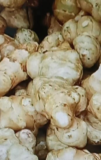 最近发现了个好东西——天然胰岛果，据说吃山药都不如吃它！关键是价格超亲民，五毛一