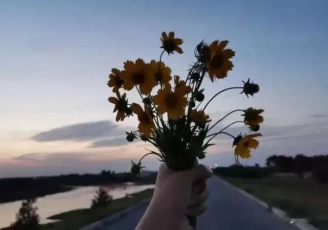 “爸，我在殡仪馆实习了”春节饭桌突然安静。大伯的筷子停在半空：“晦气！赶紧换工