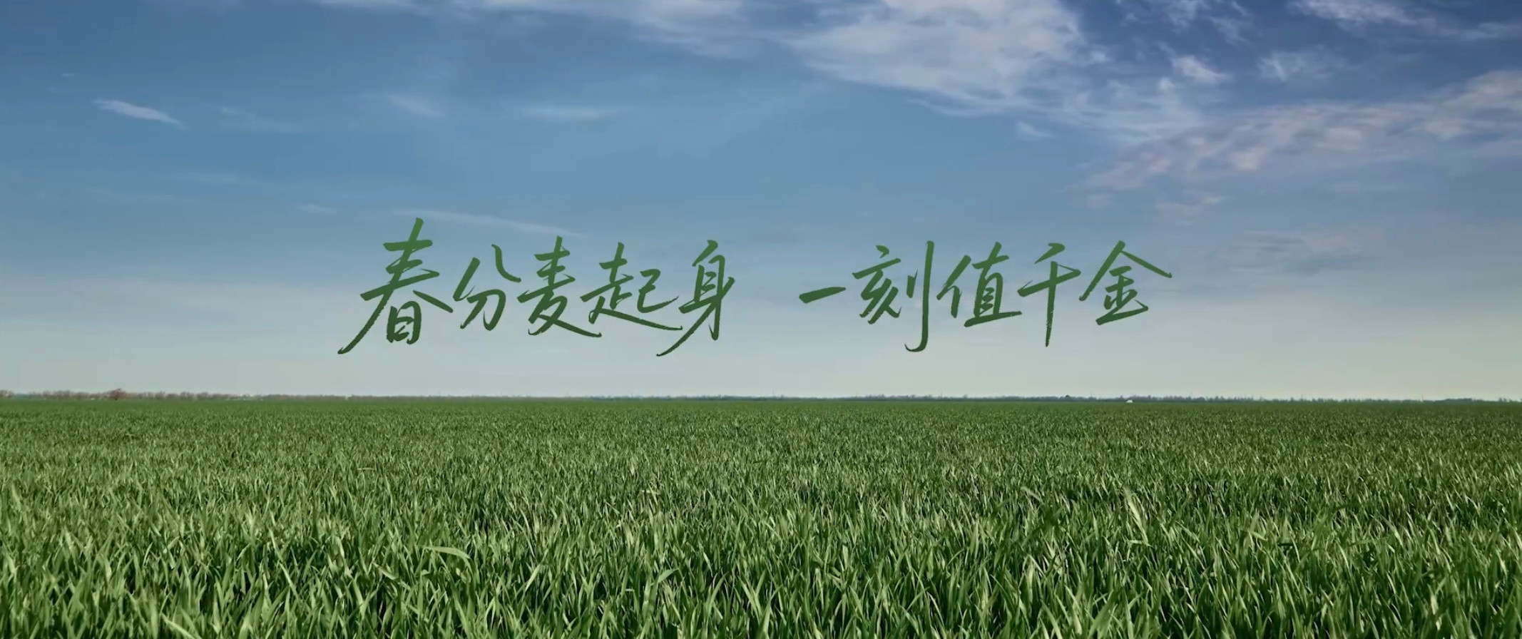 春分麦起身一刻值千金这句流传已久的农谚，道出了春分节气对于冬小麦生长的特殊意义