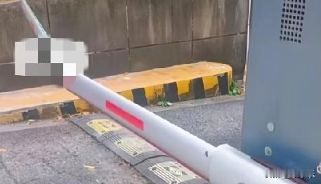 12月16日，浙江一女子开车，不慎撞坏了停车场道闸，物业让赔偿1300元，女子告