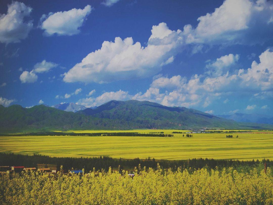 银行的定期3%都不到，在外面最起码能够保底5%，有人说会爆雷的，如果超过10%，