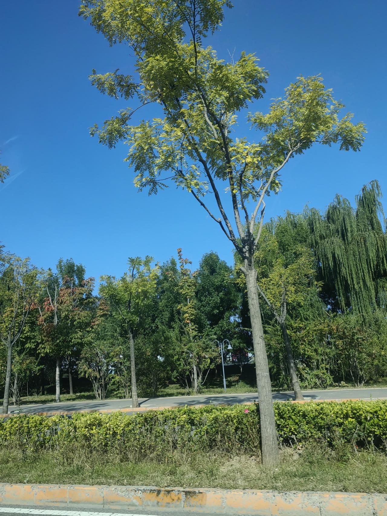 老公昨天去新单位报到，待了一个来小时，跟分管领导和科室领导聊了聊情况。大概率