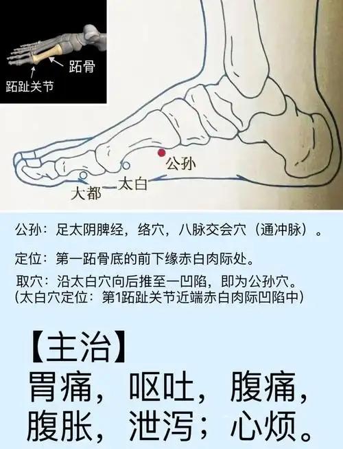 【八脉交会穴歌诀】释义（会背就会治病了）公孙冲脉胃心胸，内关阴维下总同；临泣