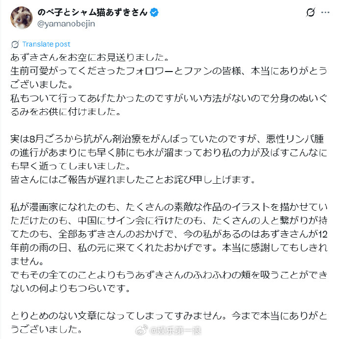 小豆泥原型猫咪去世​​​小豆泥表情包原型去世​​​小豆泥原型猫猫因恶性淋