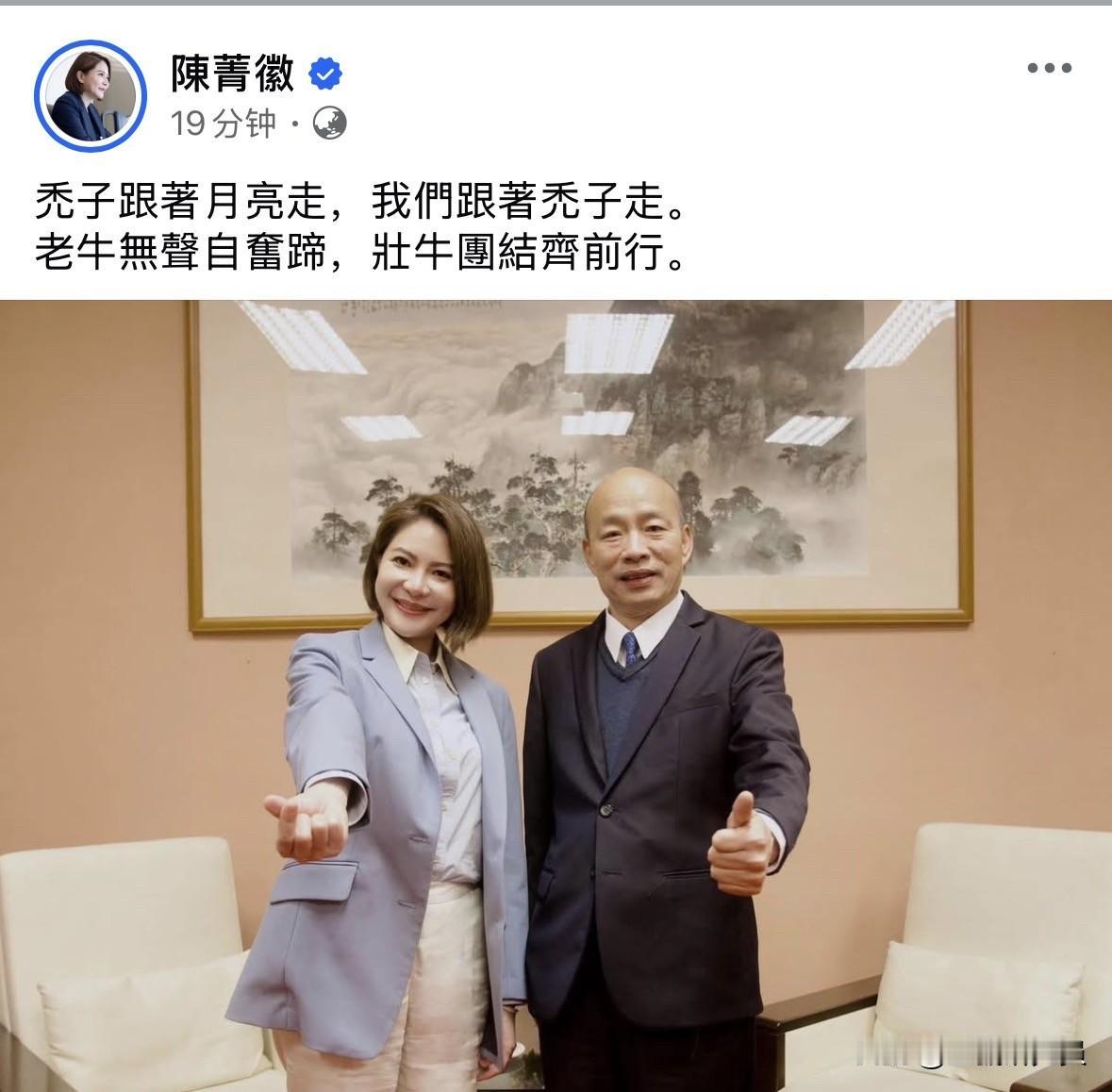 国民党立委陈菁徽今（30日）在脸书发文表示：“秃子跟着月亮走，我们跟着秃子走。老