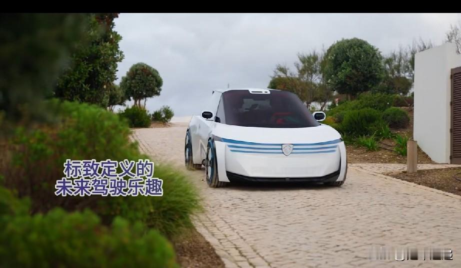 标致Polygon概念车与广汽埃安RAY7图片欣赏…