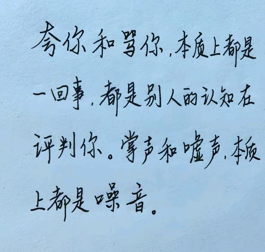 内心强大，不被外界噪音所扰。