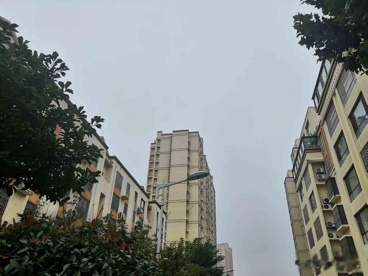 山东雨不停，老人掰玉米，地里蒜种发霉了？山东这雨从九月下到十月，快四十天没见