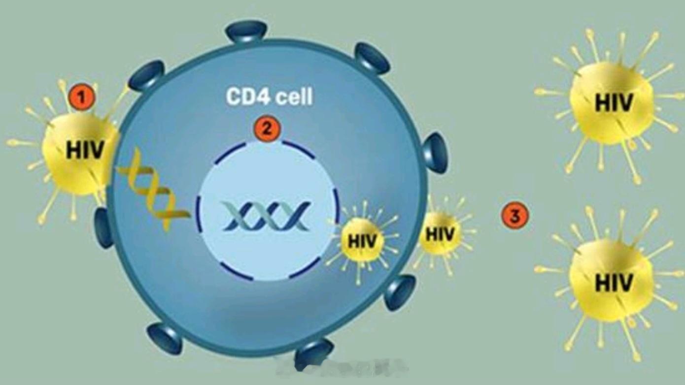 感染HIV是得了艾滋病吗临床上区分HIV感染者和艾滋病（AIDS）病人是要查看C