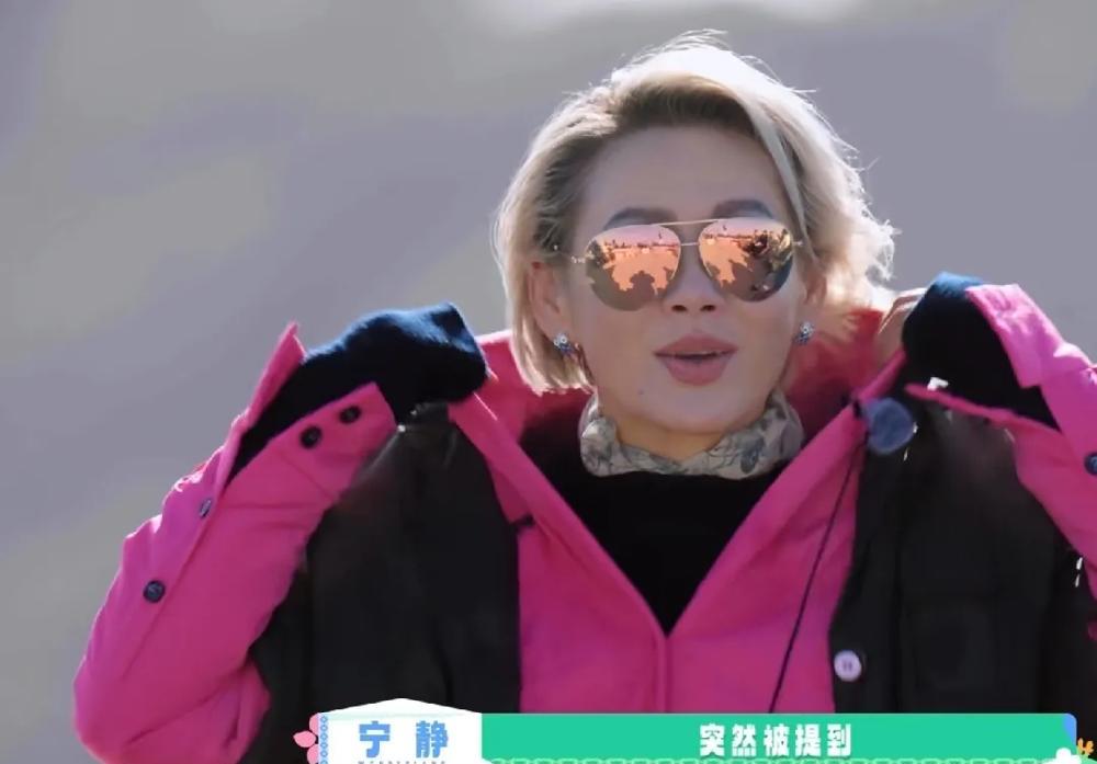 宁静这记性也是没谁了，录节目就跟走马灯似的，见的人比咱吃的盐还多。蔡文静憋了两年