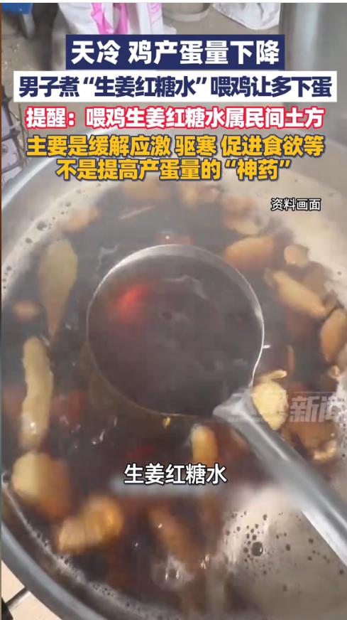“离了个大谱！”近日，湖南，一男子家的母鸡进入冬季后产蛋数量下降，于是男子就用民