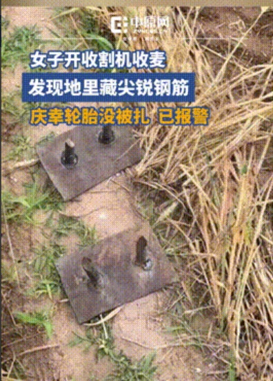 “人心太坏了！”河北，一农民开收割机收麦，不料刀片忽然崩坏，只因有人故意埋下了尖