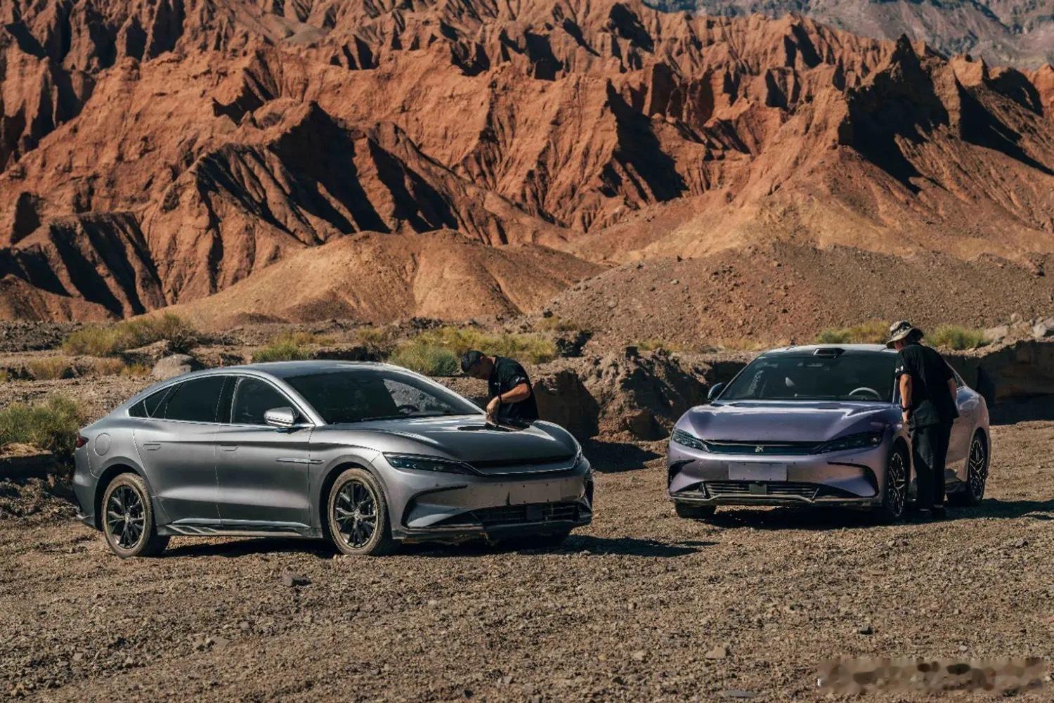 把行业龙头的蛰伏当作自己的成功，这才是最搞笑的现在有些人怎么评价比亚迪，国内得被