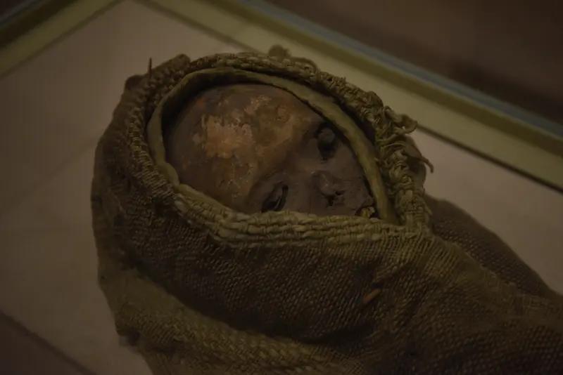 《自然》杂志一项研究超有意思！科学家从利比亚撒哈拉沙漠南部塔卡科里岩窟的两具70