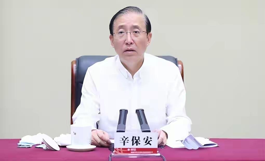 辛保安被查，这是和我们每一个人都密切相关的事，因为他有一个明显的特征。就是他