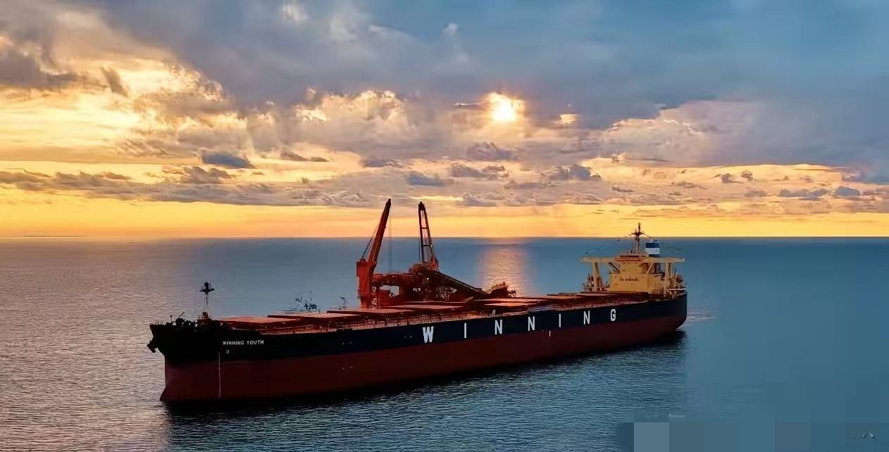 特朗普：对伊朗贸易伙伴征收25%关税！该命令即日起生效。黑天鹅来了。兜兜转转