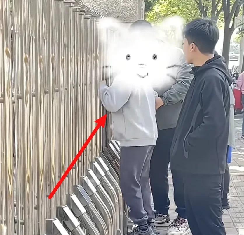 高考期间总能看到让人心酸的一幕，今天路过一所学校，看到一考生差点急得给监考老