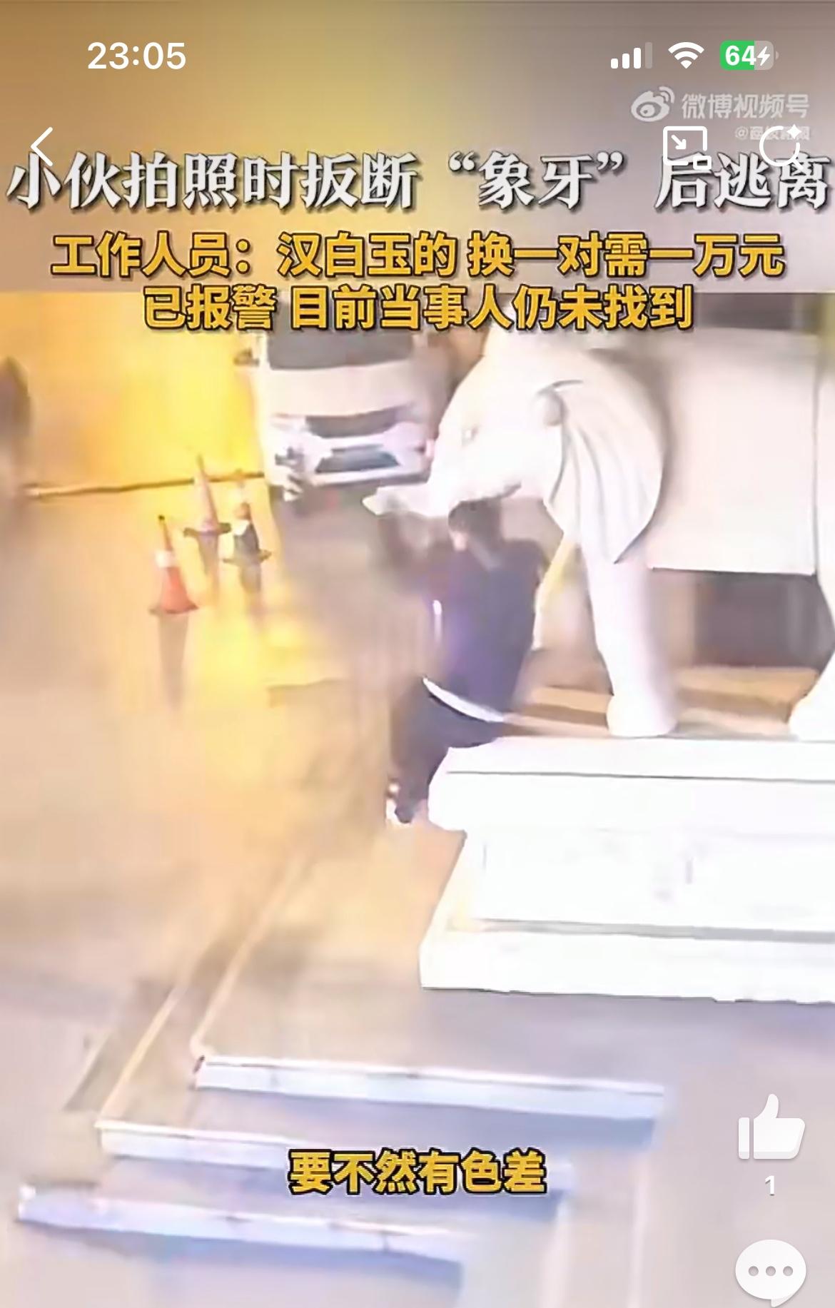 河北沧州一小伙手痒，掰断雕塑大象的象牙，价值1万多。3月7日晚上，该名