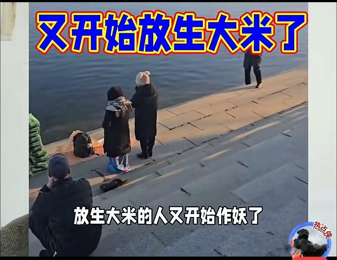 国家应该制止这样浪费粮食，又有人去江上放生大米了，这不是作妖吗，浪费粮食是可耻的