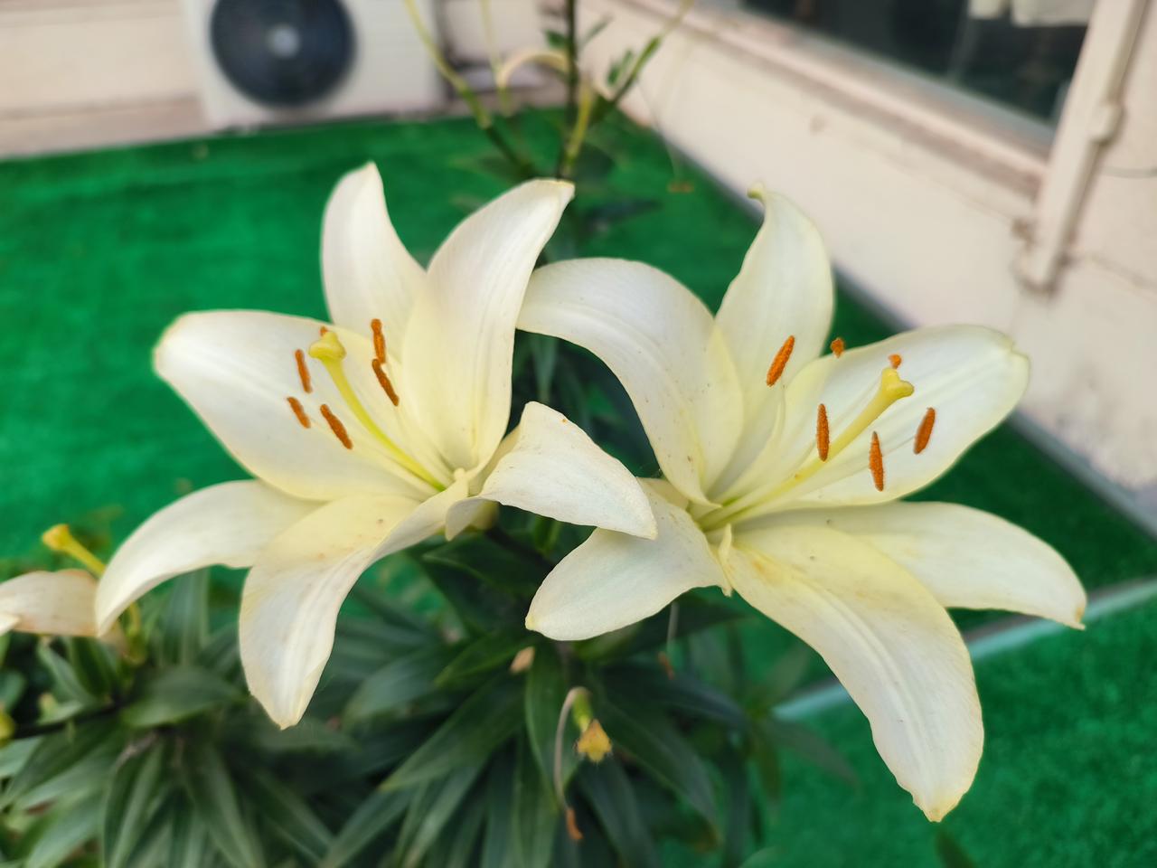 学生上辅导班，就像小孩子过家家一样，说散就散，不去也行，大不了把费用再要回来。家