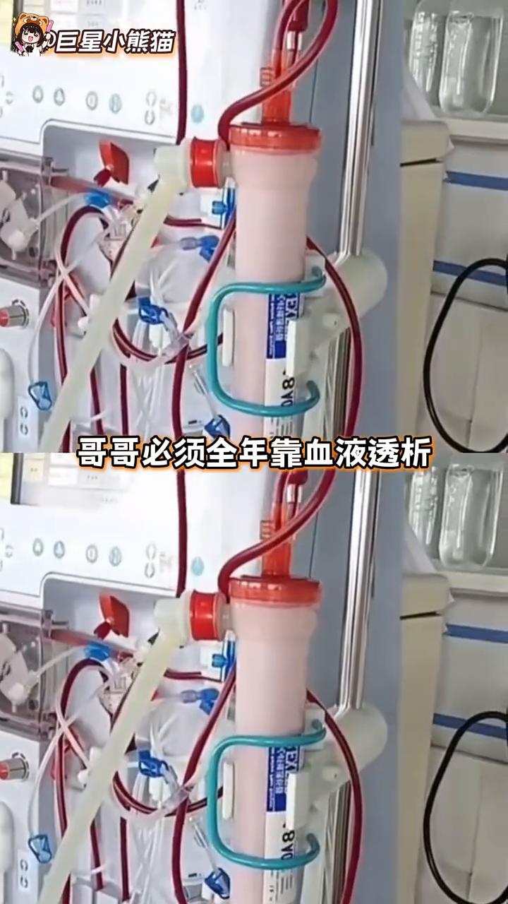 命运的选择题：11分钟的分离。巨星小熊猫。他一辈子都在赶时间，最后却败给了1