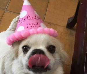 CBA积分榜上出现了让人看不懂的操作，手握排名主动权的广东队突然宣布不再寻找大外