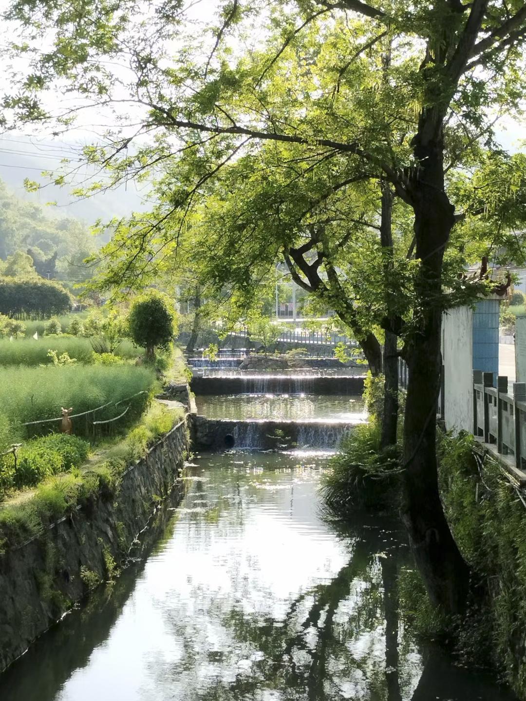 2H逃离武汉🌿隐秘古村登山赏花踏青～在武汉周边发现一个人少景美的古村村里