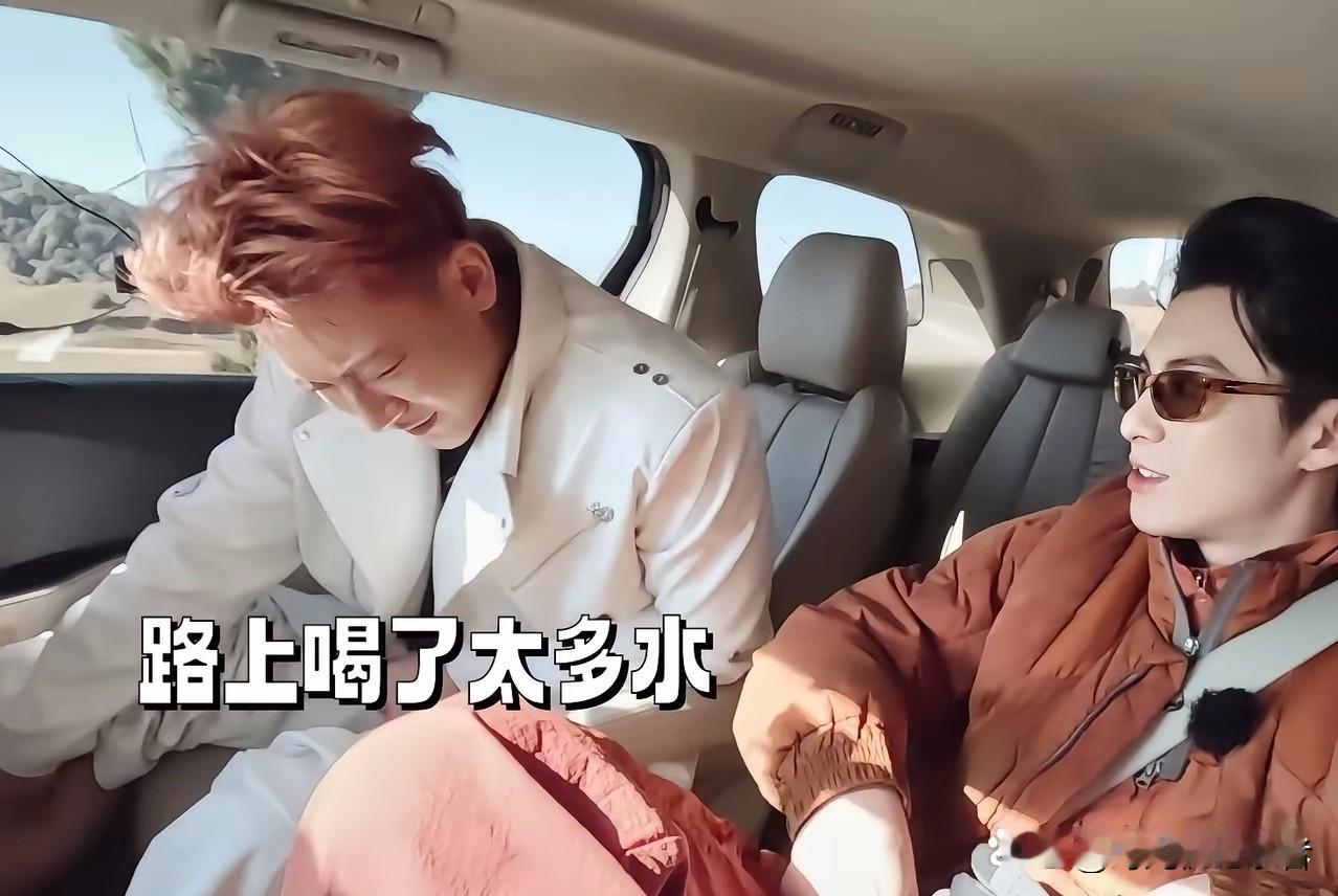 王鹤棣真是太讨厌了，黄子韬喝多水想上厕所，在车上憋着，结果王鹤棣整事，口哨不断，