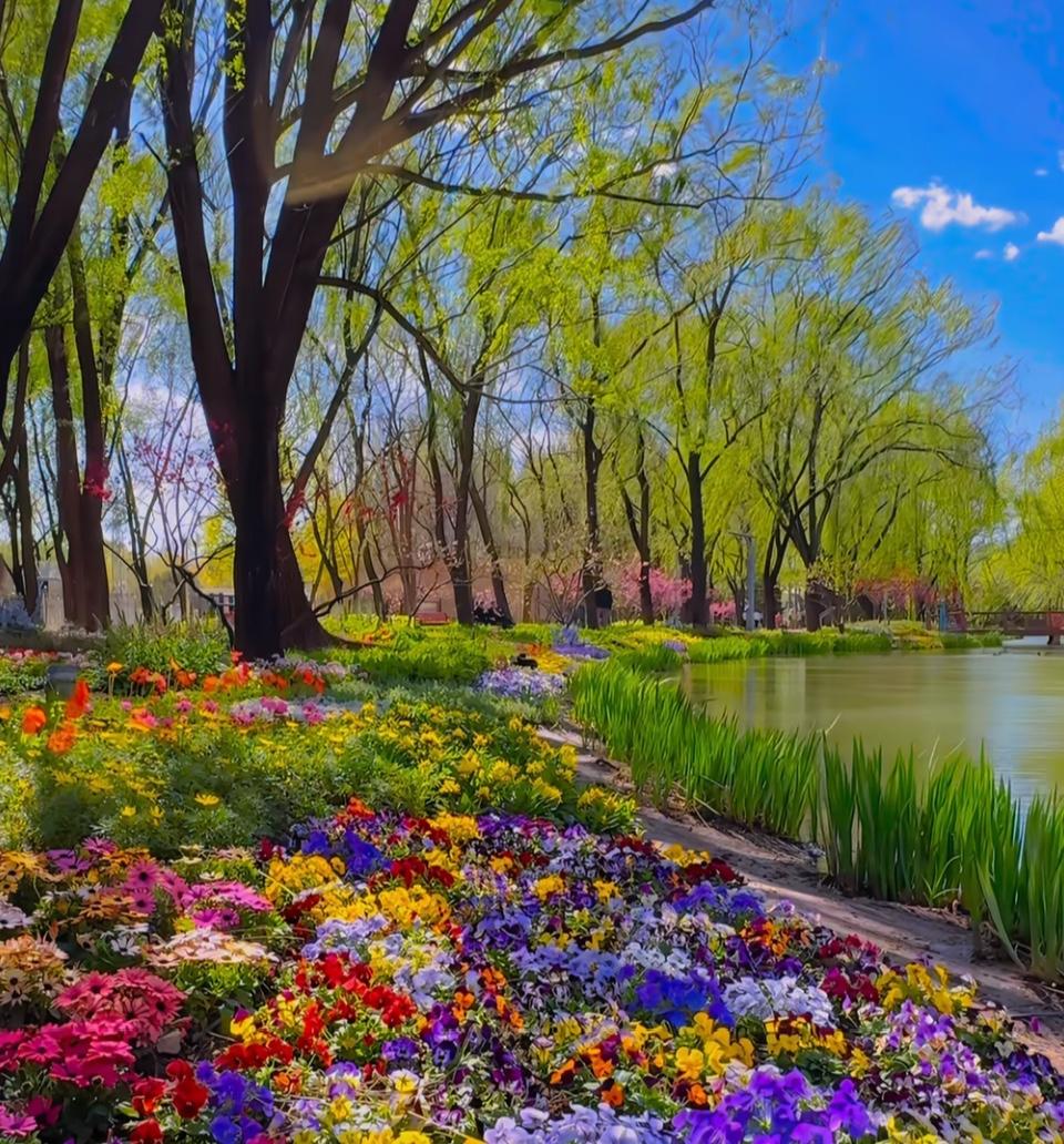 奇怪呀？北京二手房网签量居高，可看房人数却下降了？连日来，北京二手房网签量持