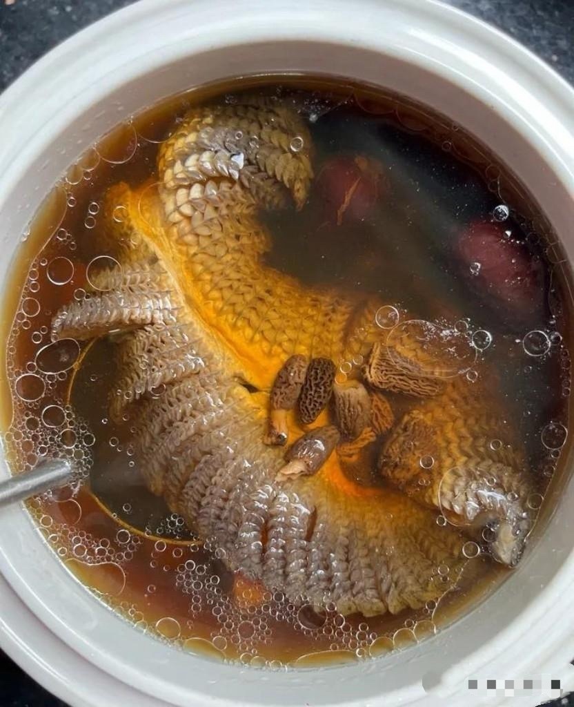 这个有没有人吃过。婆婆给我老公炖的