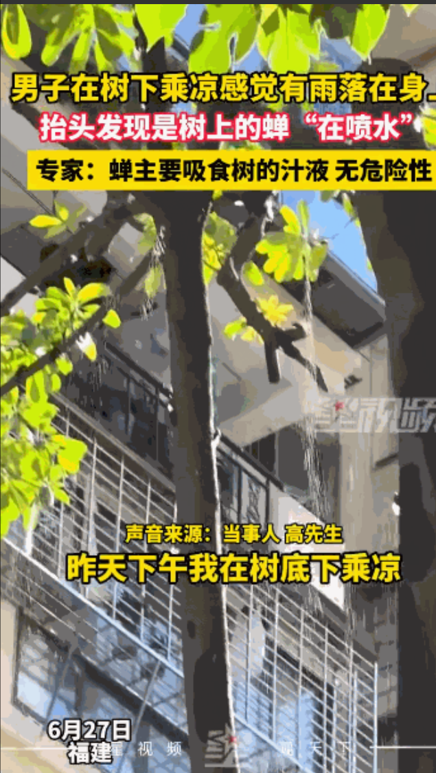 “离了个大谱！”6月27日，福建，一男子坐在树下正在乘凉休息时，突然感觉从天而降