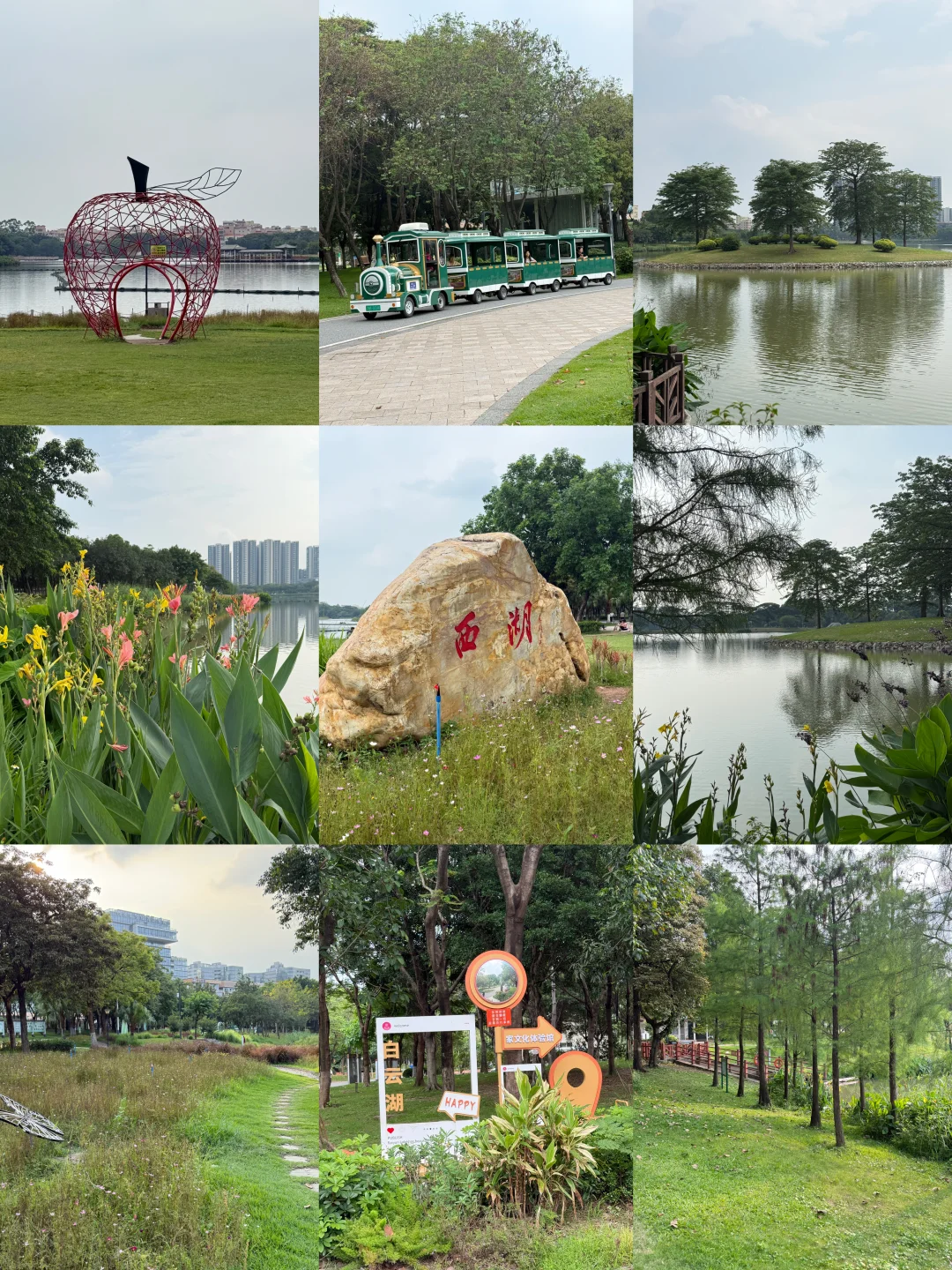 广州白云湖公园⛲️真的超级大 绿化面积也大