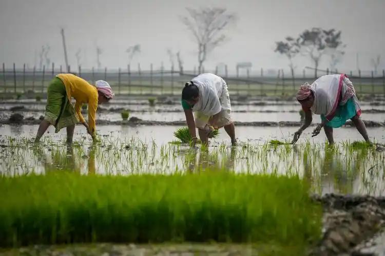 印度国土面积298万平方公里，人口15亿，中国960万平方公里，人口14多亿，