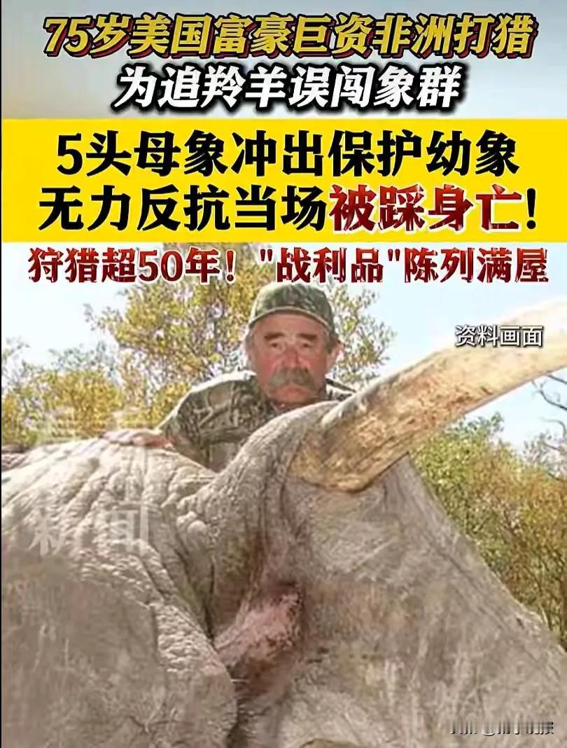 动物都是有灵性的，请善待生命[比心]