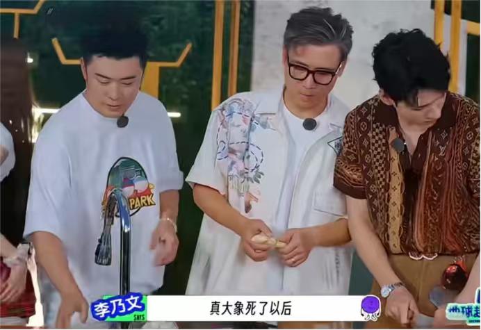 李乃文：“一只真大象和一只假大象在一起……”龚俊：“然后呢？”李乃文：“