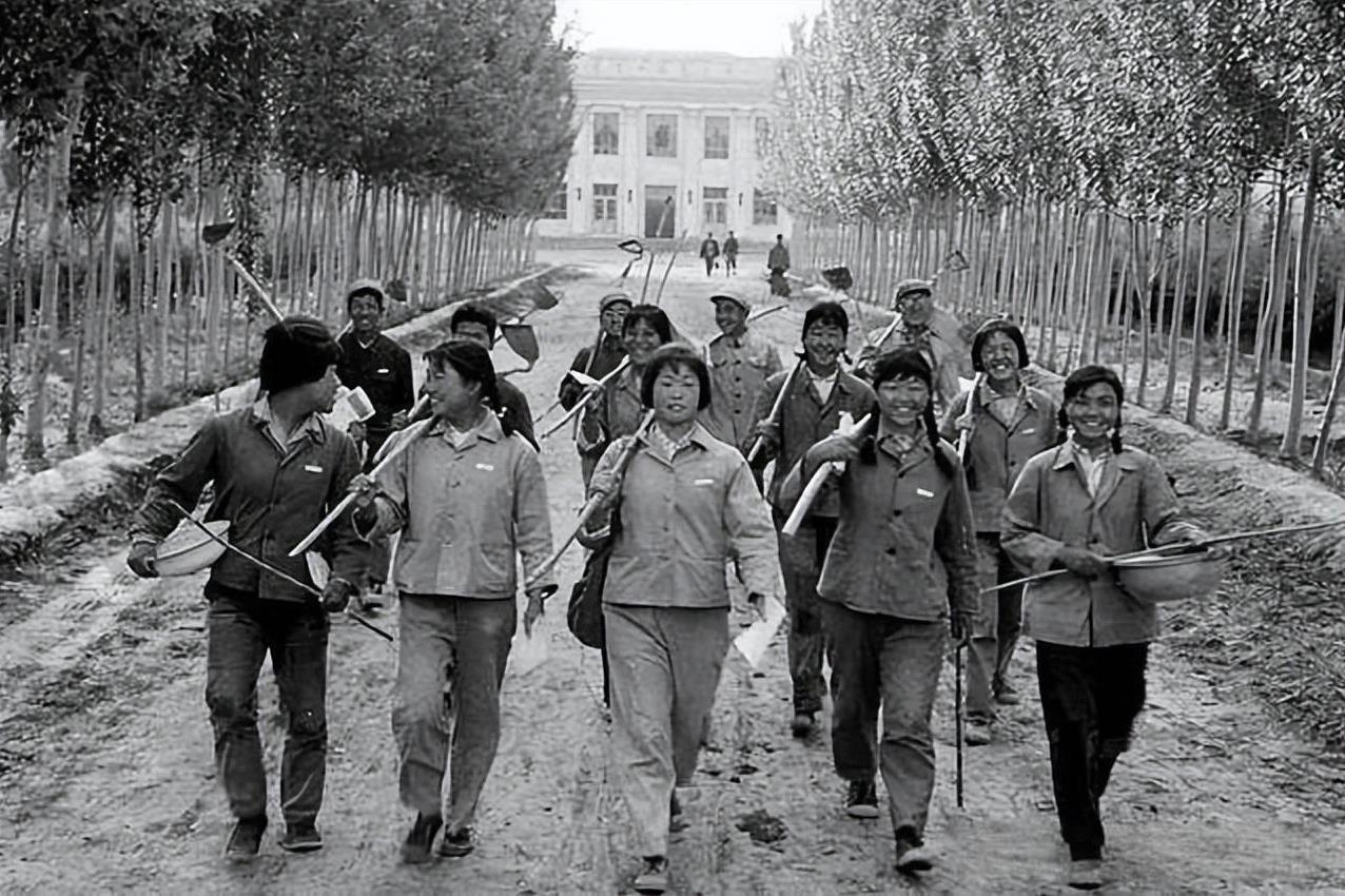上世纪70年代，知青下乡运动搞得热火朝天，大批城市知识青年响应号召，奔赴农村和边